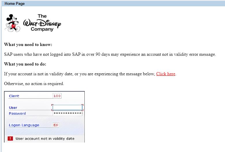 SAP Validity Inquiry.JPG